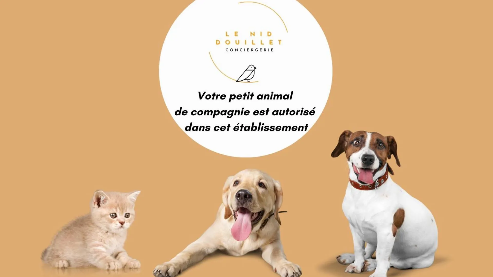 Grand Appartement Avec Jardin Privatif A Paris