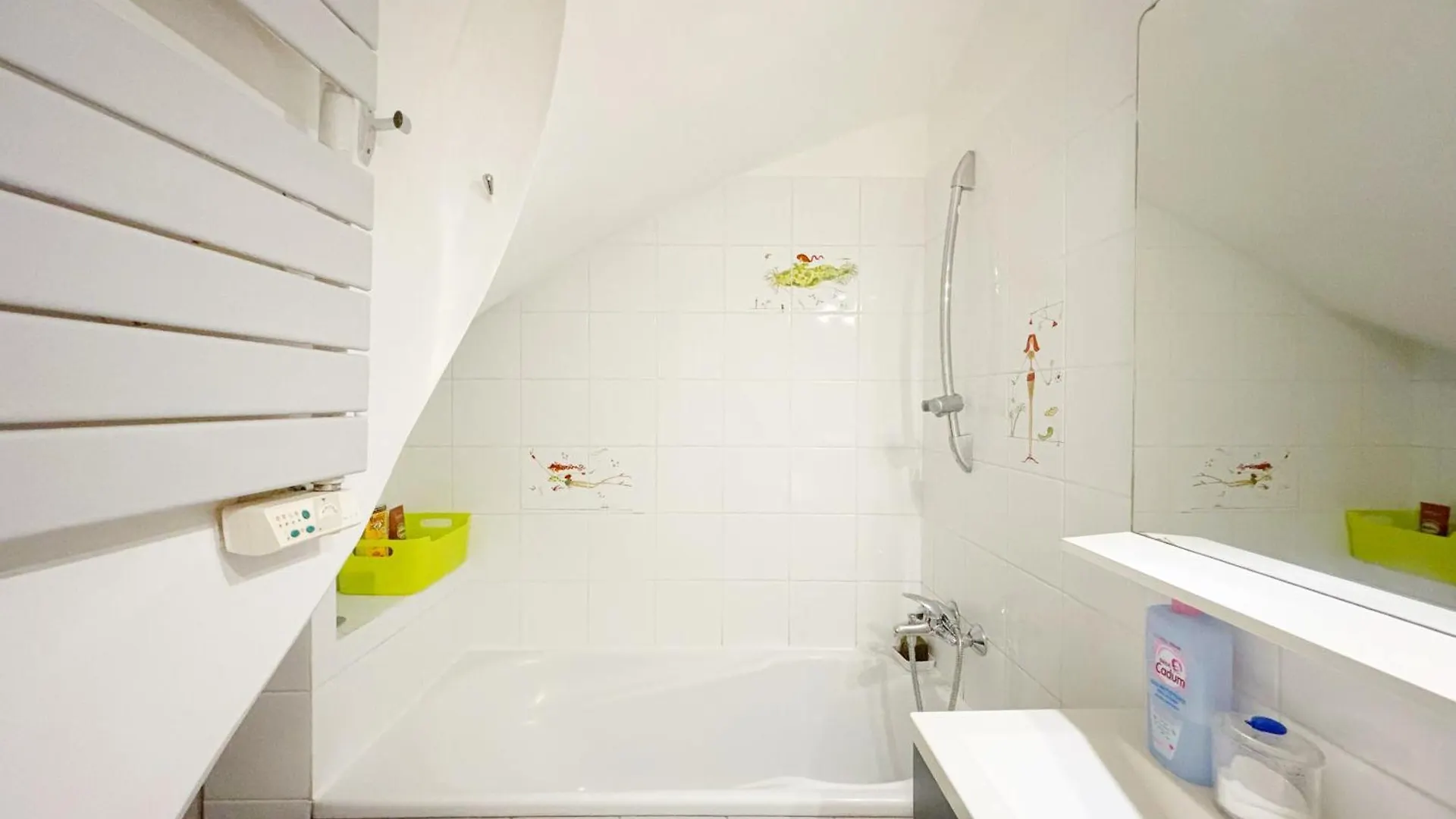 Grand Appartement Avec Jardin Privatif A Paris